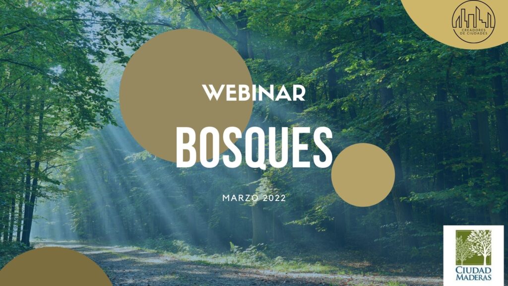 webinar ciudad maderas bosques